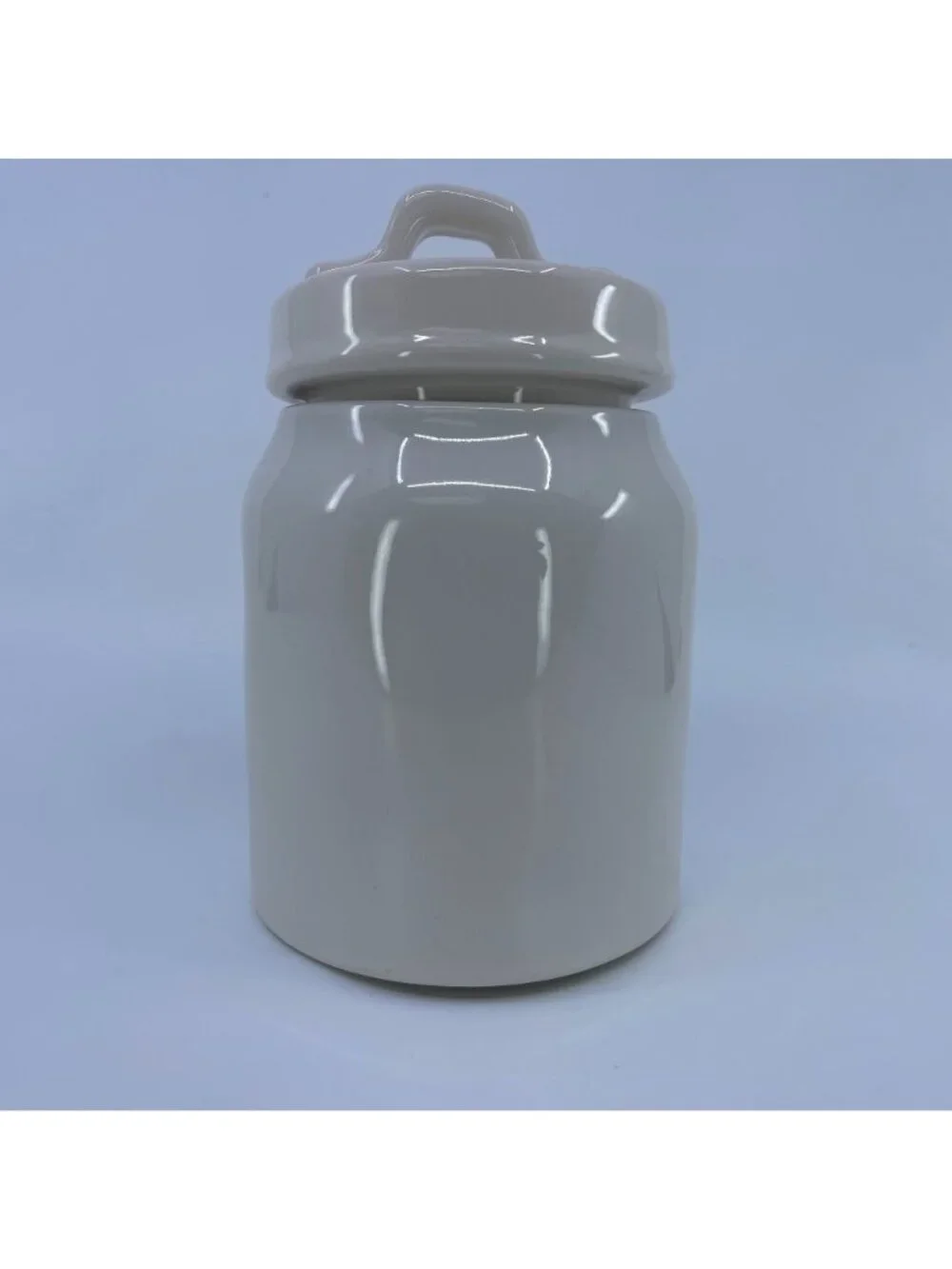 rae dunn artisan collection small ceramic canister with lid floral design white